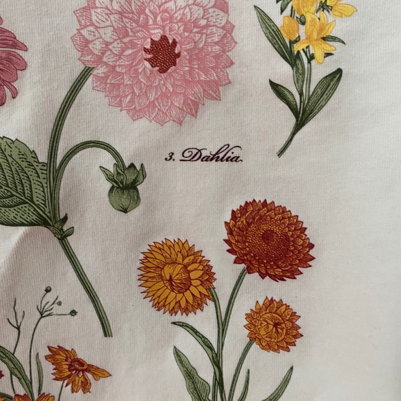 Cropped t-shirt - Picture 2 of 4